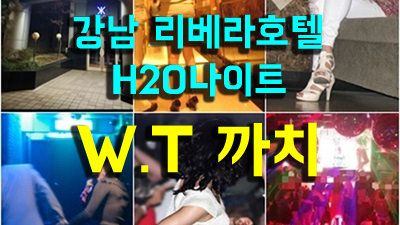 강남리버사이드물나이트 눈과 피부로 느끼실 수 있도록 오감을 느끼실 수 있도록 도움 드리겠습니다.