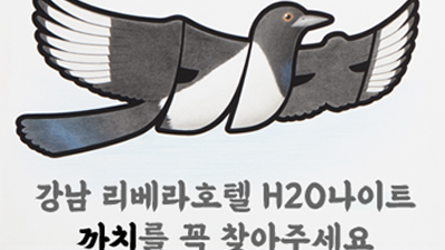 H2O나이트 조각 강남나이트 손님께 거짓말로 현혹하지 않고 정직하겠습니다.