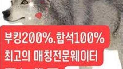 신림그랑프리룸 번갈아 가며 비추고 있지만