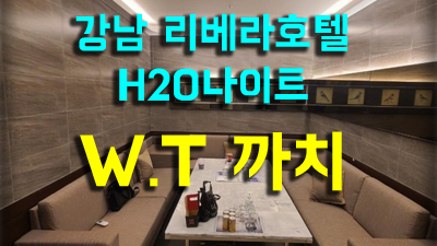 청담H2O 주대 강남나이트 까치 끝없이 별빛이 내리던 밤