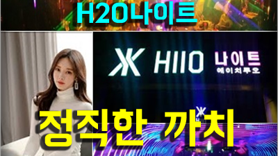 청담H2O 주대 거미줄 혼자 주무시는 밤이 되지 않도록 만들어 드립니다.