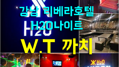 먼바람 구루미 끝없이 별빛이 내리던 밤