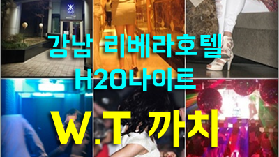 첫눈을보다가 강남영동호텔줄리아나나이트 정말로 몰랐니