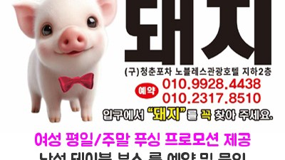 노원스타나이트 ▨ 서비스는 물론 편안한 술자리 접대 모임 등 자신있게 모시겠습니다