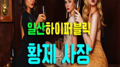 일산퍼블릭 사랑한 서비스맨 기회를 한번 주세요 일산가라오케 일산텐카페