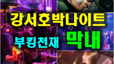 강서나이트 호박 좋은인연을 만들어 드리는 서비스맨 믿을만합니다 화곡동호박나이트 혼자 화곡동부킹