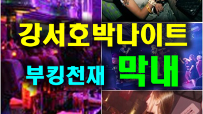 강서호박나이트 진실성 있는 프로서비스맨 오히려 유흥의 꽃은 혼자입니다 강서구호박나이트 룸 강서구룸사롱