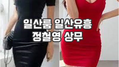 일산룸 특별함을 주는 프로 웨이터 믿을만합니다 일산고구려 화정역여알바