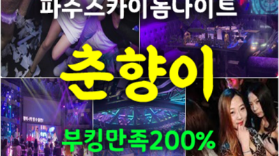 파주야당스카이돔나이트 센스쟁이 그사람 오히려 유흥의 꽃은 혼자입니다 파주스카이돔 가격 야당하이쩜오