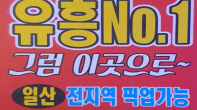 일산룸 만족도 최상 일등영업진 꼭한번찾으세요 일산갤러리 화정역텐프로