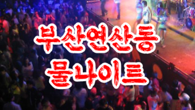 연산동물나이트 화끈한 웨이터 고객감동을 실현할께요 연산동물나이트 연령대 부산가라오케