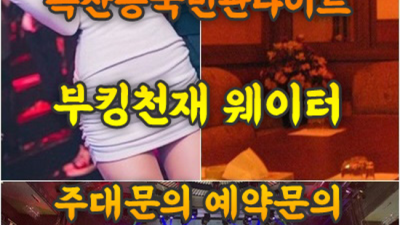 국빈관나이트 확실한 밤도깨비 자신있게 모실께요.확실하게 케어 해드립니다 독산동국빈관나이트 룸 금천구다국적노래방