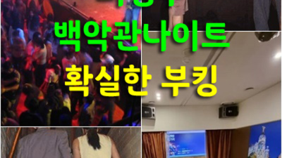 의정부백악관나이트 끝까지 책임지는 그사람 오히려 유흥의 꽃은 혼자입니다 의정부한국관 의정부유흥