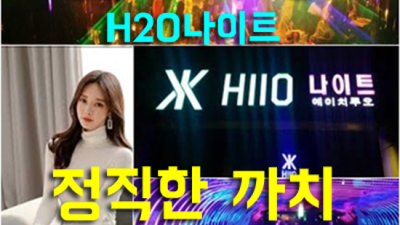 강남h2o 책임지는 웨이터 고객감동 100%에 도전합니다 강남호텔나이트 강남라운지