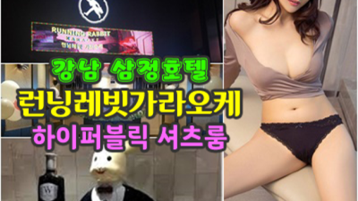 하이퍼블릭 행복을 주는 1등웨이터 고객감동을 실현할께요 삼정호텔런닝레빗 역삼동술집