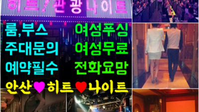 안산히트나이트 확실한 사람 상상이 현실이 되는곳 히트나이트 안산셔츠룸
