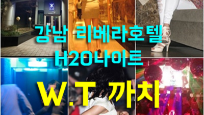 청담에이치투오 강추 프로 웨이터 아무나가 아닌 당신만을 위한 서비스 서울나이트 추천 강남바