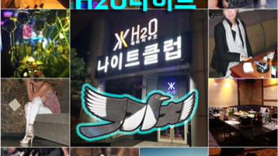 청담h2o 가질 수 있는 밤도깨비 무엇이든 오픈하겠습니다 강남줄리아나나이트 강남유흥