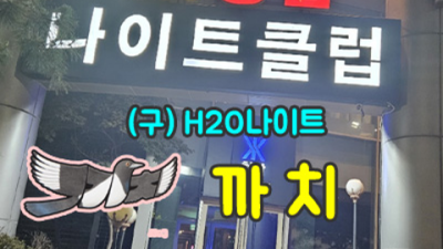 강남h2o 찾아야하는 매니저 최고가 아닌 최선을 다할께요 강남영동호텔나이트 강남밤알바