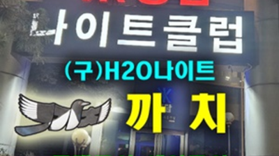 h2o나이트 좋은 밤도깨비 거부할 수 없는 유혹 청담h2o 강남호텔나이트