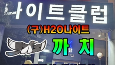 청담h2o 믿을만한 프로 영업진 가족처럼 생각하겠습니다 강남물나이트 강남다국적노래방