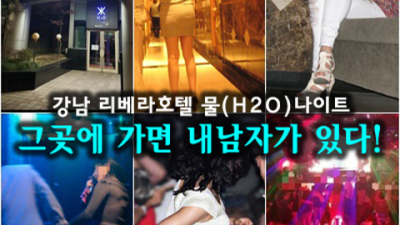 강남h2o 감사한 맨투더맨 거부할 수 없는 유혹 리버사이드호텔나이트 강남밤알바